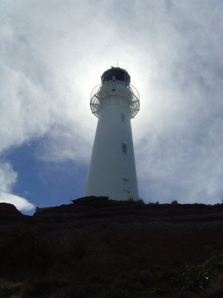 Castlepoint lighthouse