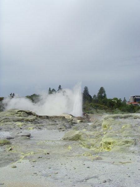 The geysers