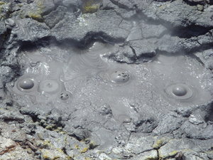 Bubbling mud of Roturua