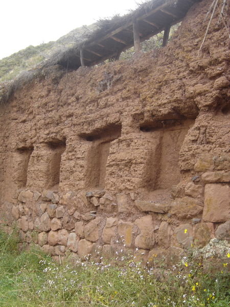 Inca Ruins at the Citedal