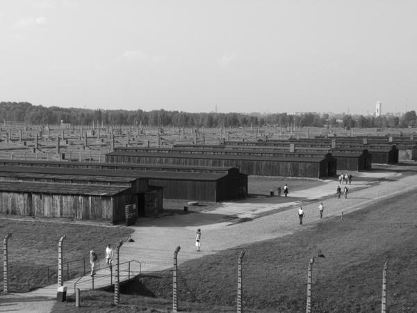 Barracks at Birkenau