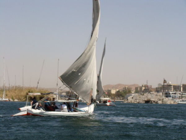 Cruising down the Nile