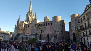 Barcelona Cathedral was near where we were staying and the Christmas market