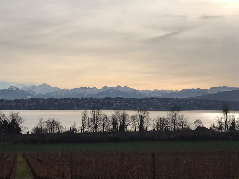 On a clear winters day, looking over the lake to the French Alps