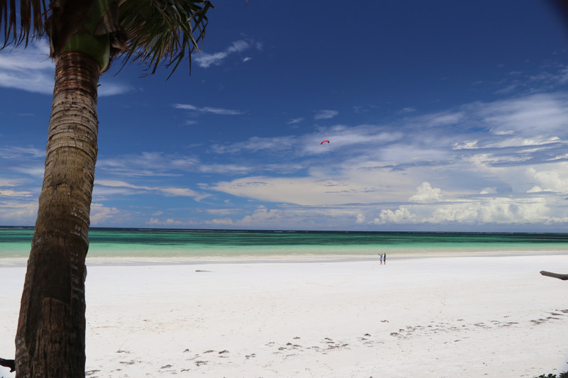 Murray's kite surfing lesson at Diani