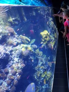 Aquarium, Monaco