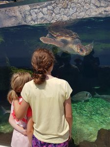 Beautiful creatures, Monaco aquarium