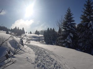 Snow shoeing up the Jura range