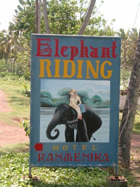 The Famous Elephant story.