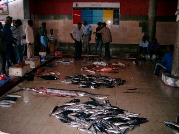 Male Fish Market.