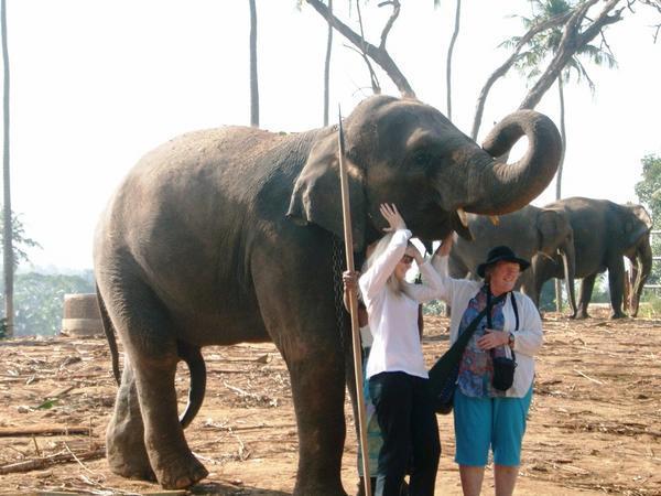 Mum and Sarah with an Elephant at the Orphanage.