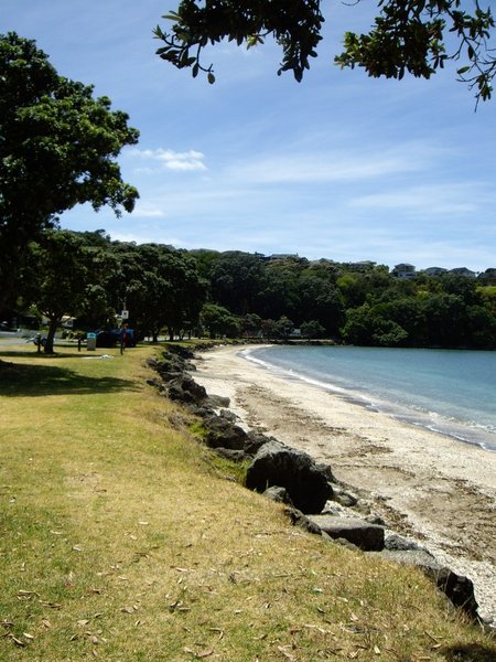 Matakatia Beach - Whangaparoa