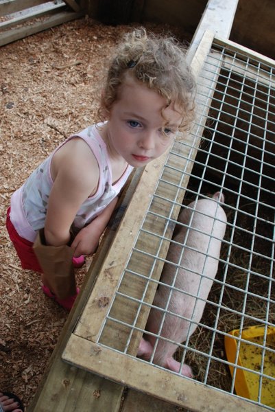 Charlotte obsession with pigs continues