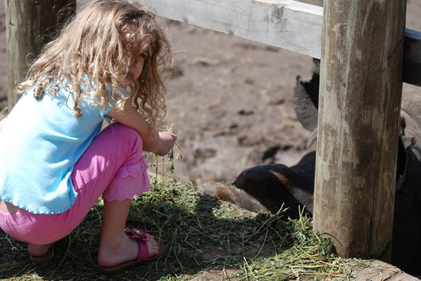 Charlotte feeding him