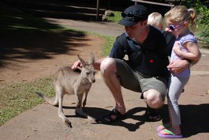 Murray & Haylz patting kangaroos