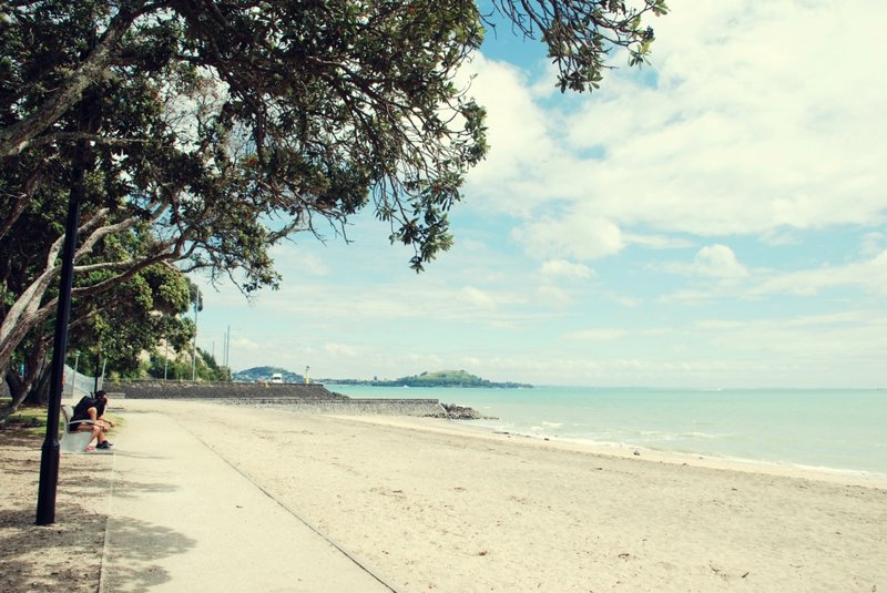Beautiful Auckland beach