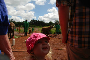 Emma checking out the elephants