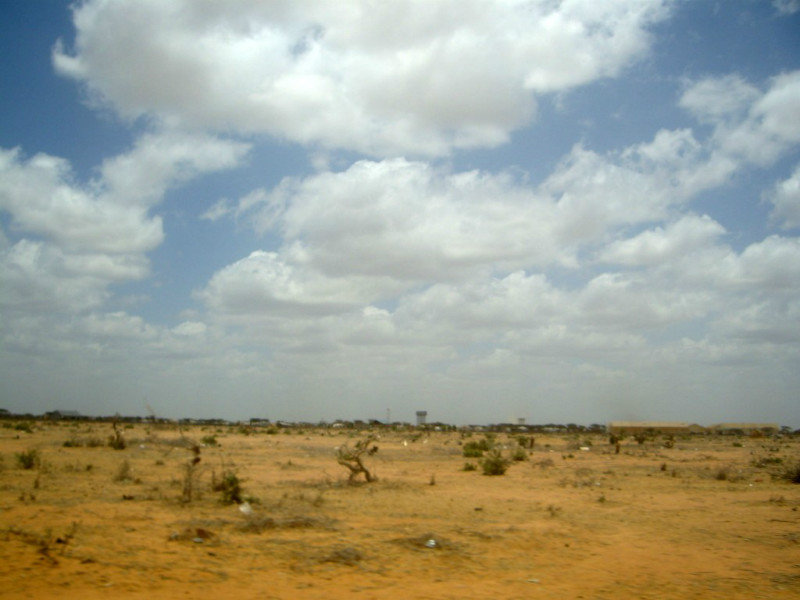 Semi-Desert Landscape