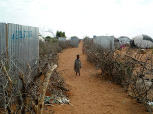 Child in the camp, Dadaab