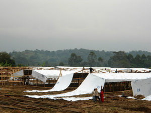 More shelter construction, Bundibugyo