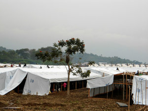 Shelter construction, Bundibugyo