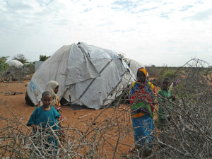 Shelters, Dadaab