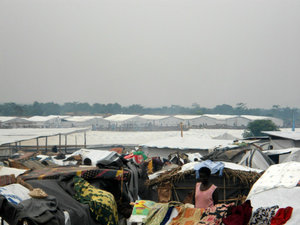 Temporary camp and shelters being constructed, Bundibugyo