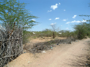Vacant plot where refugees have moved, Dadaab