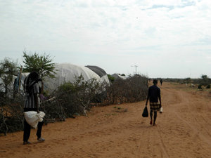 Thorn fence around compound, Dadaab
