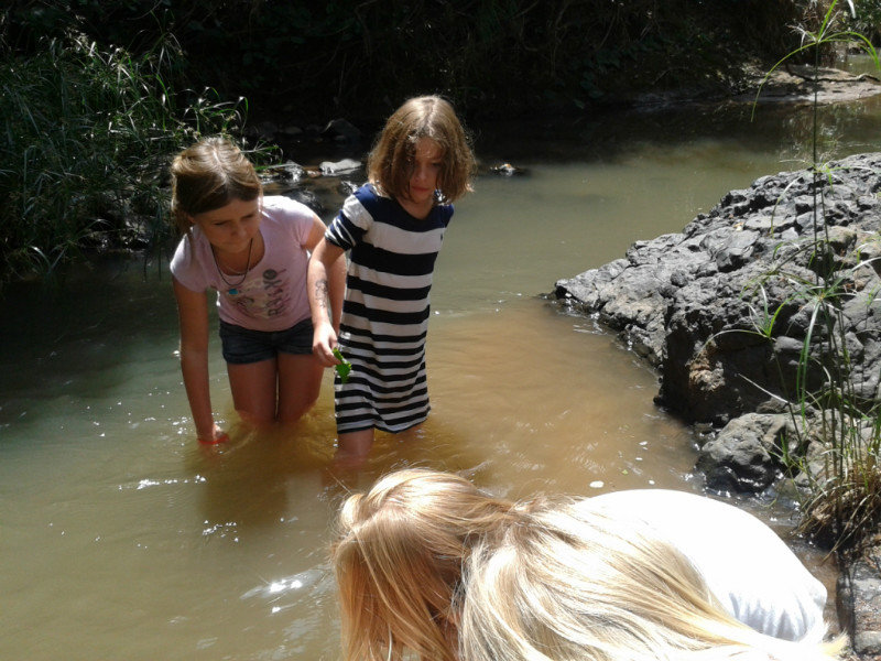 Cooling off in the stream
