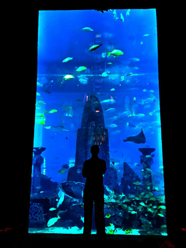 Aquarium at the Atlantis water park