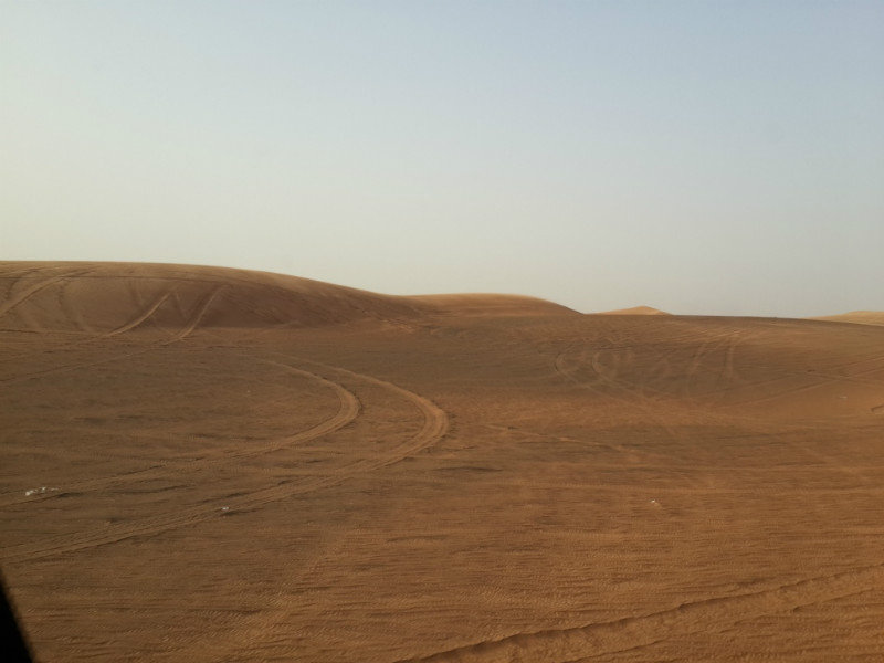 The desert