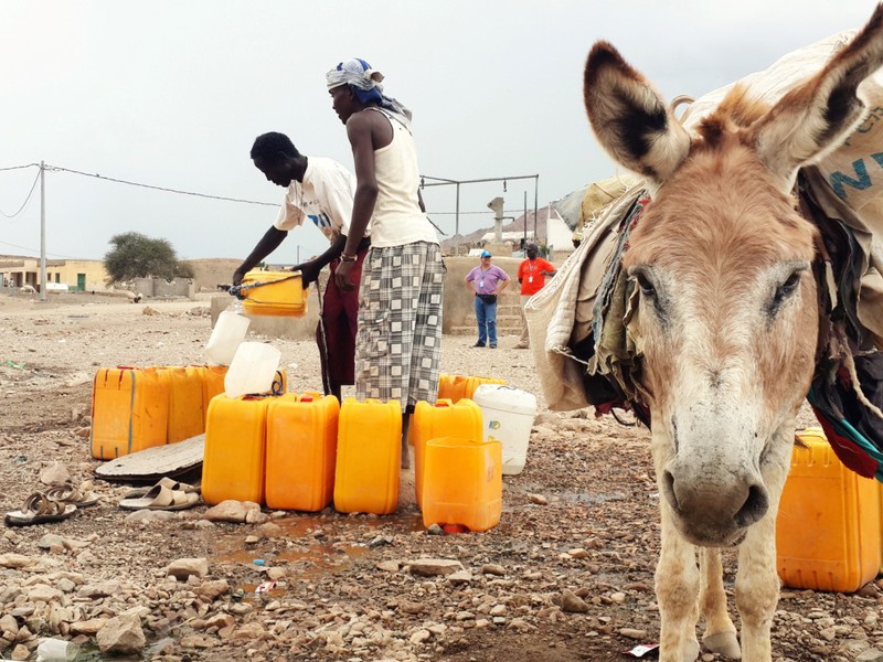 Dial a donkey, water home delivery service, Ali Adde