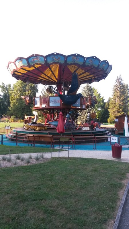 Carousel in the botanical gardens