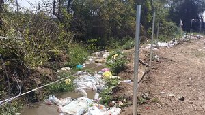 Rubbish dumped in a nearby stream