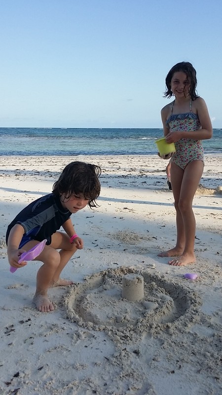 Chars sandcastle