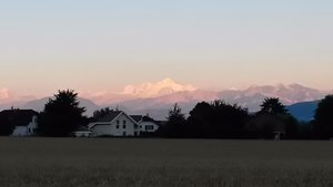 Views of Mont Blanc from the field behind our house