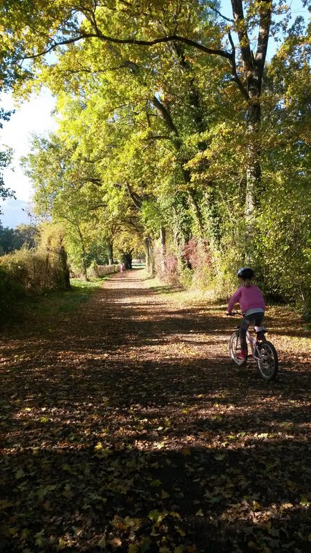 Bike rides in Autumn
