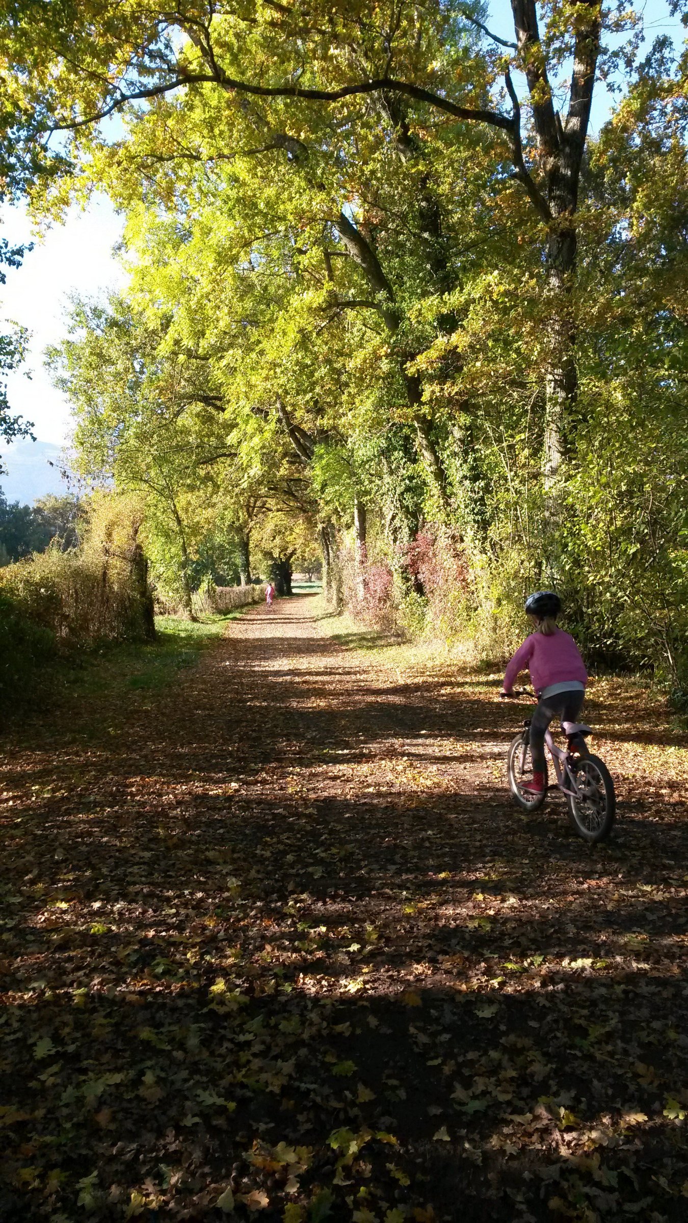 Bike rides in Autumn Photo