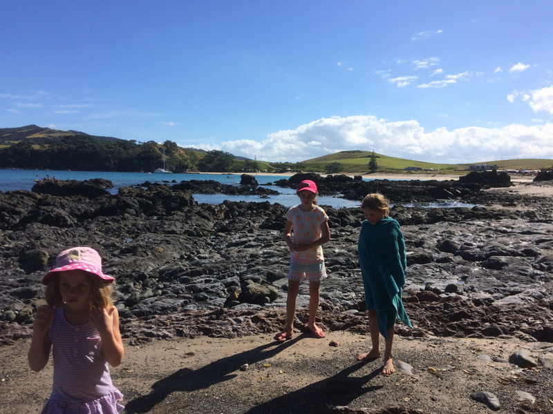 Looking in the rock pools
