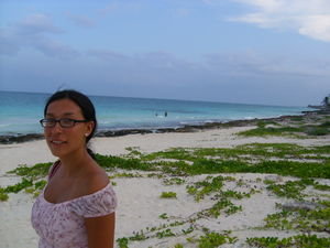 The first glimpses of the beach in Tulum