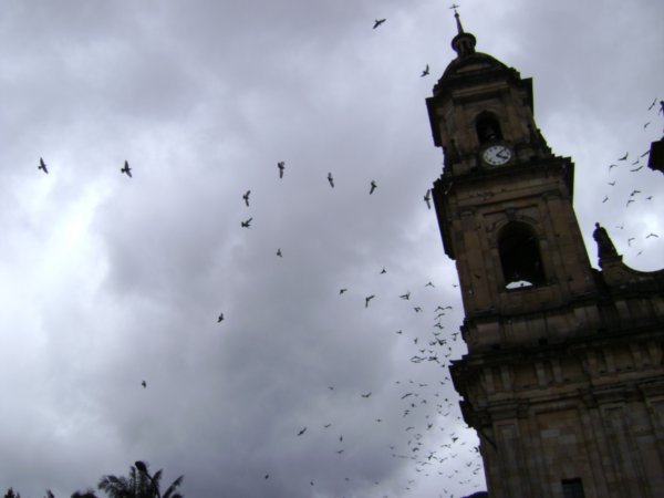 Bogota 2008 093