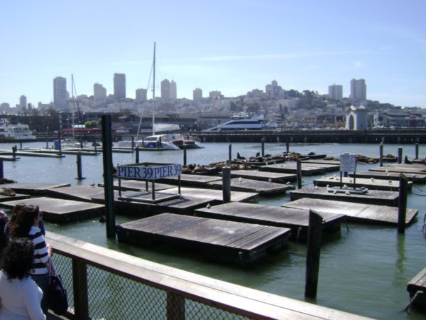 San Francisco from the wharf