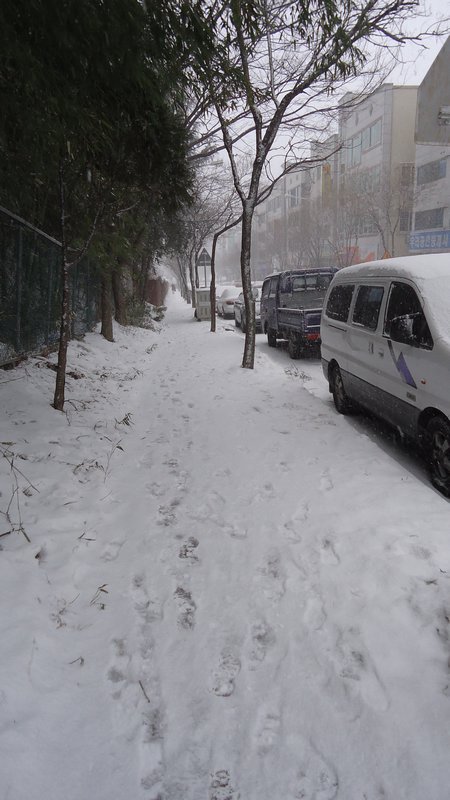 Snowy Sidewalk
