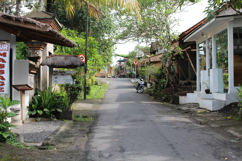 Ubud Streets 1