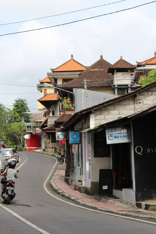 Ubud Streets 3