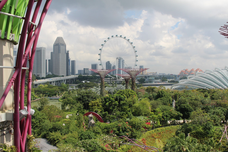 From Gardens by the Bay