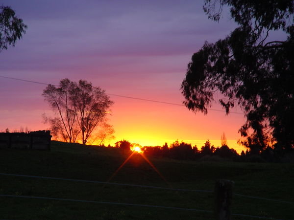 Kiwi sunset