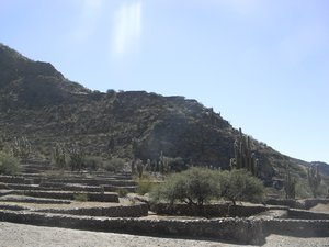 Ruins of Quilmes 5