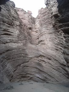 Quebrada de Cafayate 48